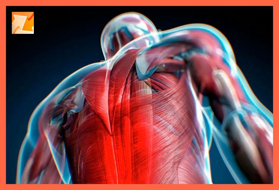 Caratteristiche del disagio